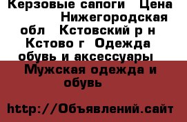 Керзовые сапоги › Цена ­ 1 200 - Нижегородская обл., Кстовский р-н, Кстово г. Одежда, обувь и аксессуары » Мужская одежда и обувь   